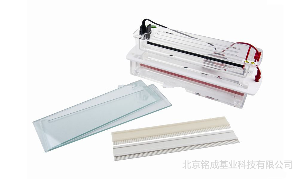 JY-SCZF型 高通量垂直电泳槽 君意东方